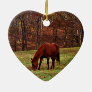 Adorno De Cerámica Caballo marrón con nariz blanca en el borde de Woo