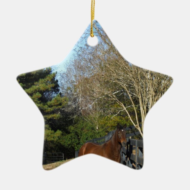 Adorno De Cerámica Caballo marrón contra una cerca (Frente)