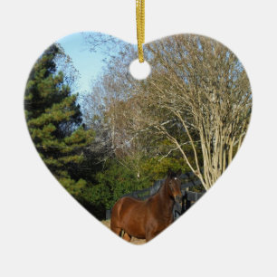 Adorno De Cerámica Caballo marrón contra una cerca