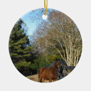 Adorno De Cerámica Caballo marrón contra una cerca