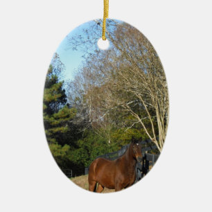 Adorno De Cerámica Caballo marrón contra una valla