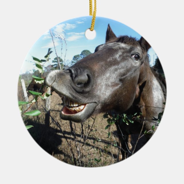 Adorno De Cerámica Caballo marrón de cara divertida (Frente)