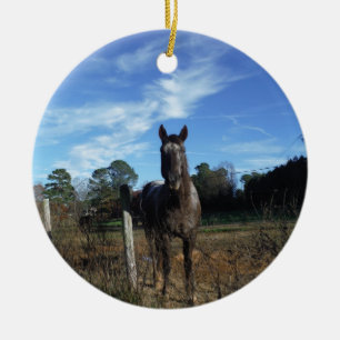 Adorno De Cerámica Caballo marrón de chocolate lechoso en azul