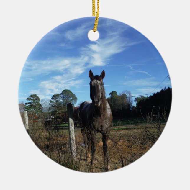 Adorno De Cerámica Caballo marrón de chocolate lechoso en azul (Frente)