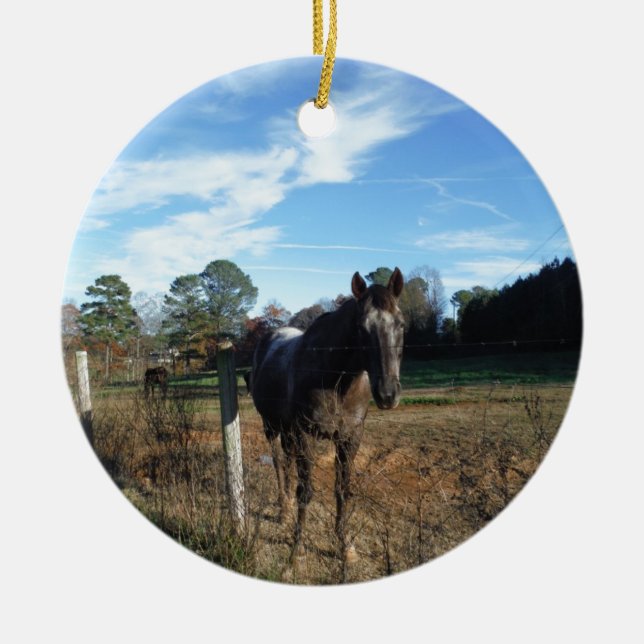 Adorno De Cerámica Caballo marrón de Coco y Crema (Frente)