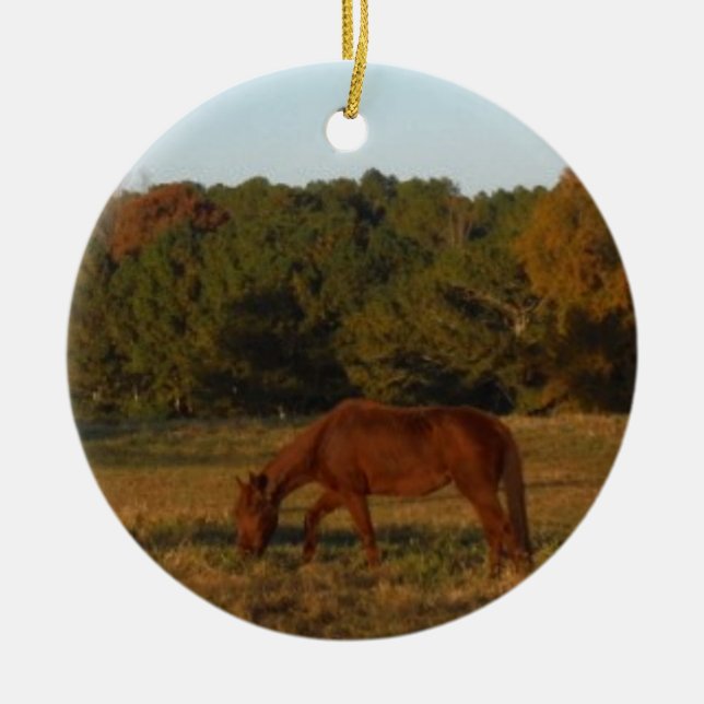 Adorno De Cerámica Caballo marrón en el sol (Frente)