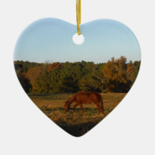 Adorno De Cerámica Caballo marrón en el sol