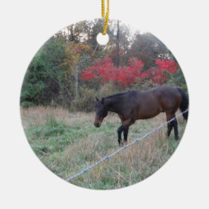 Adorno De Cerámica Caballo marrón en los árboles de otoño rojos