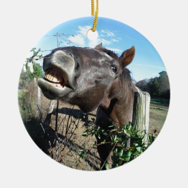 Adorno De Cerámica Caballo marrón parlante (Frente)