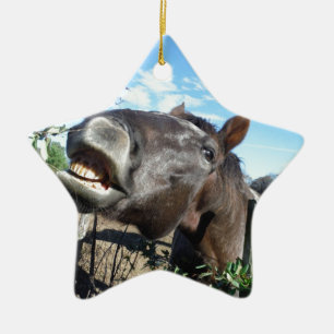 Adorno De Cerámica Caballo marrón parlante