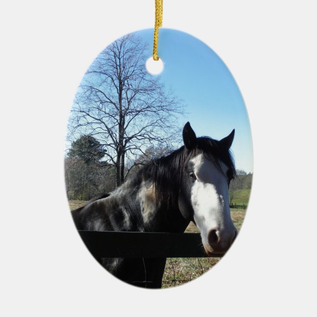 Adorno De Cerámica Caballo marrón y blanco, caballo pintado, cielo az (Frente)