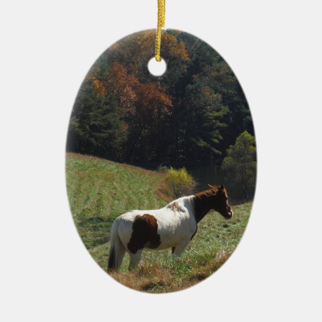 Adorno De Cerámica Caballo marrón y blanco en el estanque de otoño (Frente)