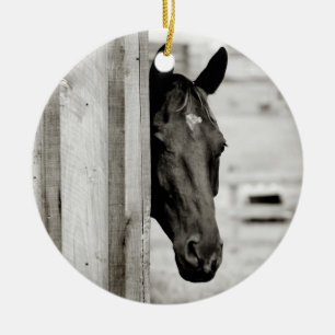 Adorno De Cerámica Caballo negro curioso