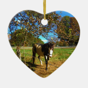 Adorno De Cerámica Caballo pintado,