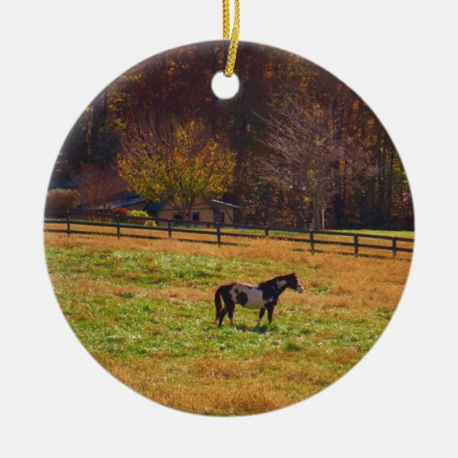 Adorno De Cerámica Caballo pintado a lo lejos (Frente)