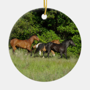 Adorno De Cerámica Caballo salvaje