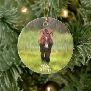 Adorno De Cerámica Caballo salvaje de caza de cerámica