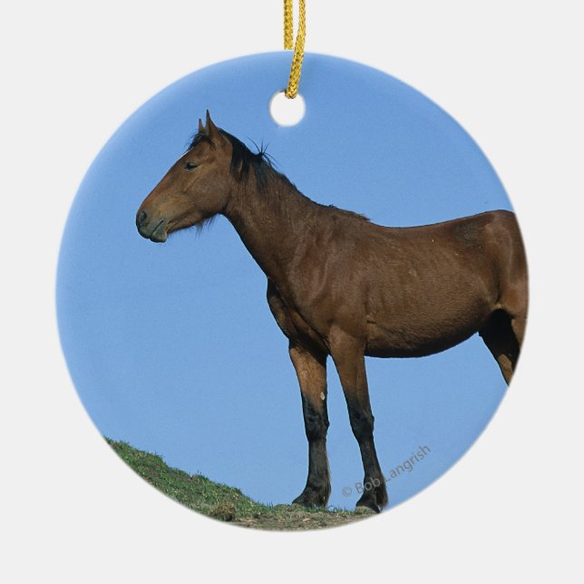Adorno De Cerámica Caballo salvaje del mustango (Frente)
