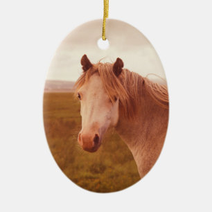 Adorno De Cerámica Caballo salvaje vintage