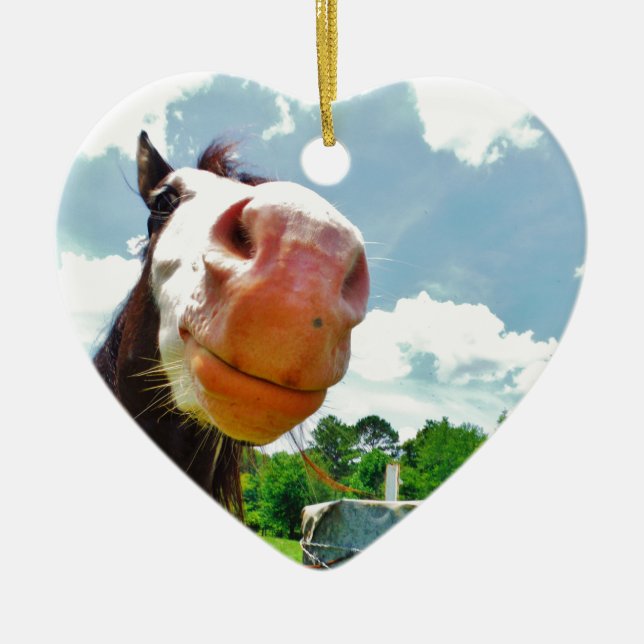 Adorno De Cerámica Caballo sonriente (Frente)