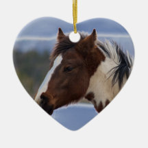Caballo tricolor