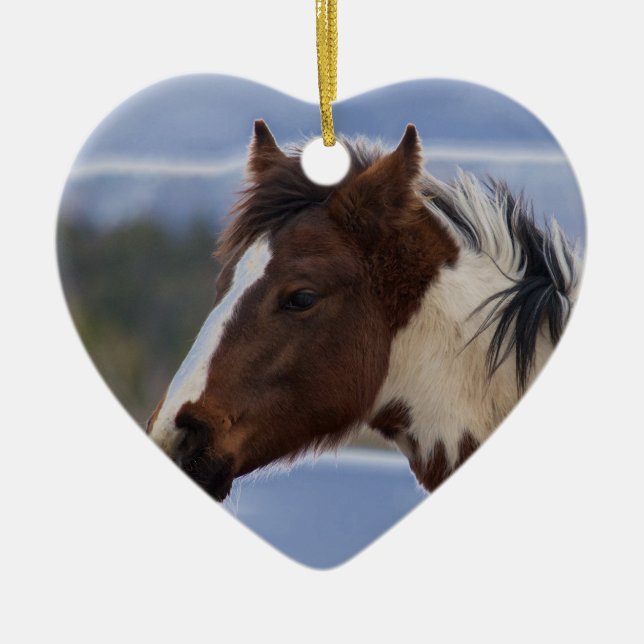 Adorno De Cerámica Caballo tricolor (Frente)