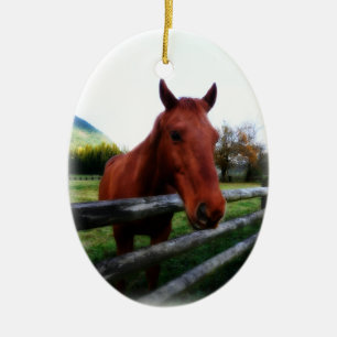 Adorno De Cerámica Caballo y cerca occidentales del país