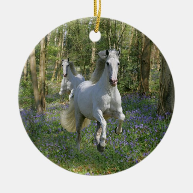 Adorno De Cerámica Caballos de la fantasía: Madera del Bluebell (Frente)