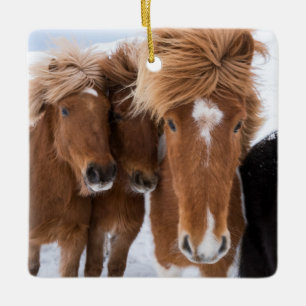 Adorno De Cerámica Caballos islandeses acarician, Islandia