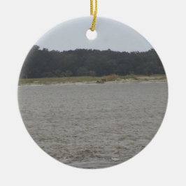 Adorno De Cerámica Caballos salvajes