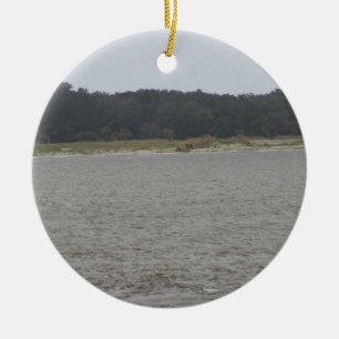 Adorno De Cerámica Caballos salvajes