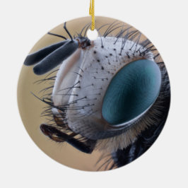 Adorno De Cerámica Cabeza de insecto en primer plano