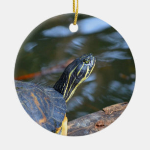 Adorno De Cerámica cabeza de la tortuga del agua del resbalador fuera