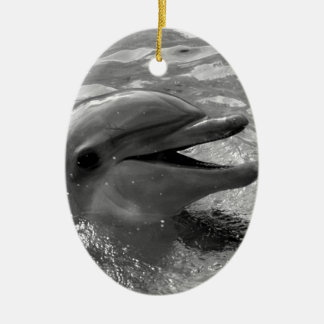 Adorno De Cerámica Cabeza del delfín en blanco y negro abierto de la
