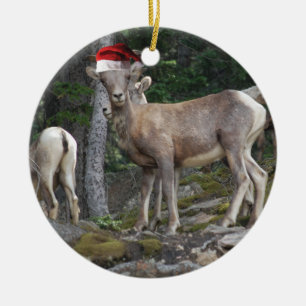 Adorno De Cerámica Cabras de Montaña vistiendo Gorras de Santa Claus