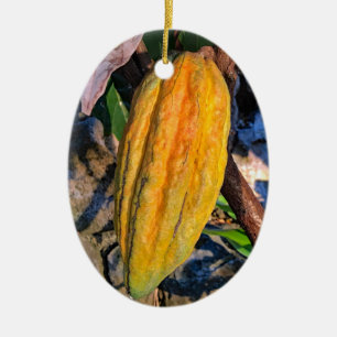 Adorno De Cerámica Cacao Pod de Hawái
