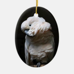 Adorno De Cerámica cacatúa