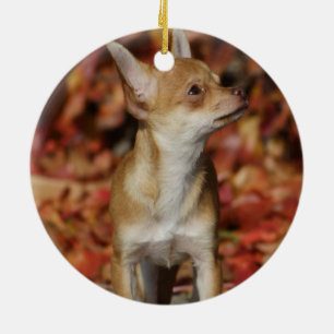 Adorno De Cerámica Cachorro chihuahua marrón