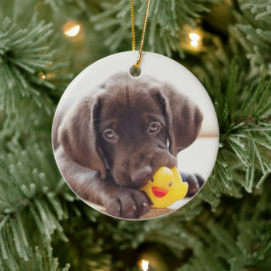 Adorno De Cerámica Cachorro de chocolate con pato de juguete