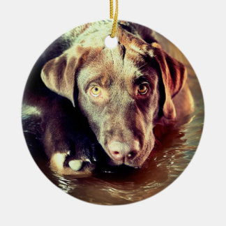 Adorno De Cerámica Cachorro de Chocolate Lab