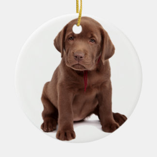 Adorno De Cerámica Cachorro de Chocolate Lab