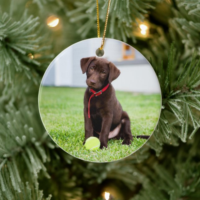 Adorno De Cerámica Cachorro De Chocolate Labrador Con Pelota De Tenis (Árbol)