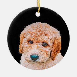 Adorno De Cerámica Cachorro de labradoodle