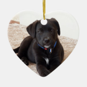 Adorno De Cerámica Cachorro de Labrador Negro