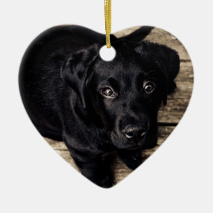 Adorno De Cerámica Cachorro de Labrador Retriever negro sobre madera
