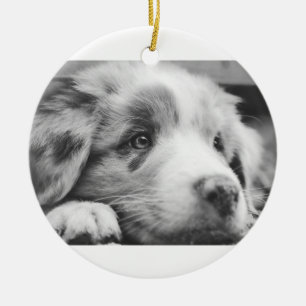 Adorno De Cerámica cachorro de pastor australiano bn