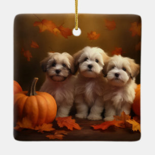 Adorno De Cerámica Cachorro Havanés Delicia de Otoño Calabaza