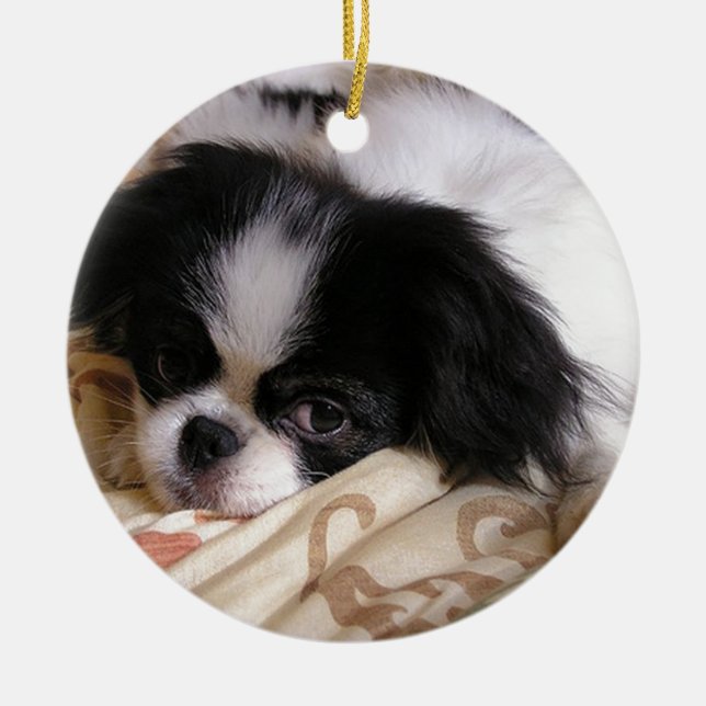 Adorno De Cerámica cachorro japonés_chin.png (Frente)