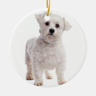 Adorno De Cerámica Cachorro maltés