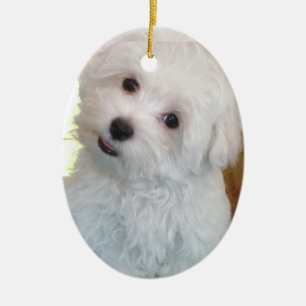 Adorno De Cerámica Cachorro maltés